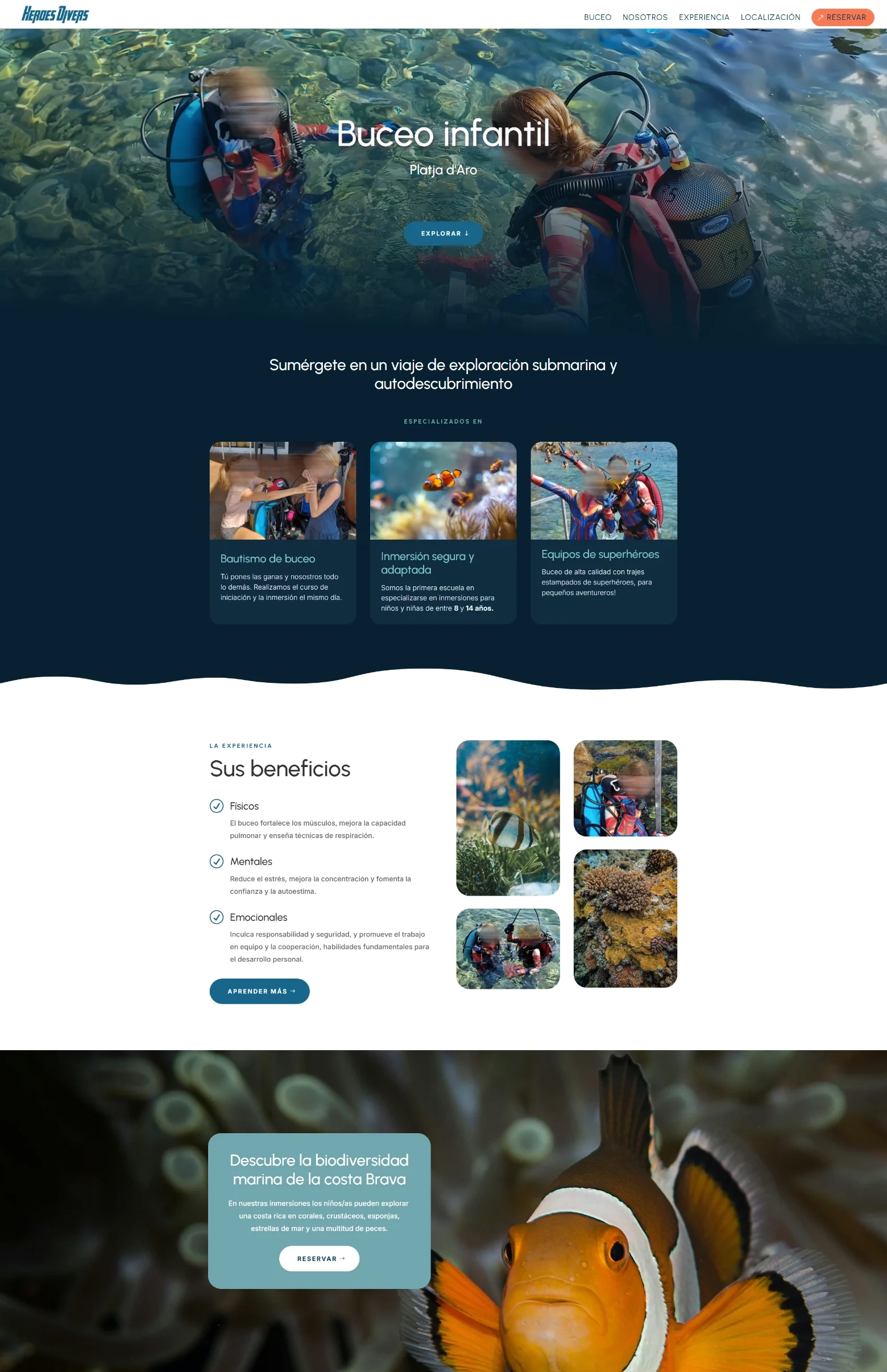 screenshot-website-project-divers